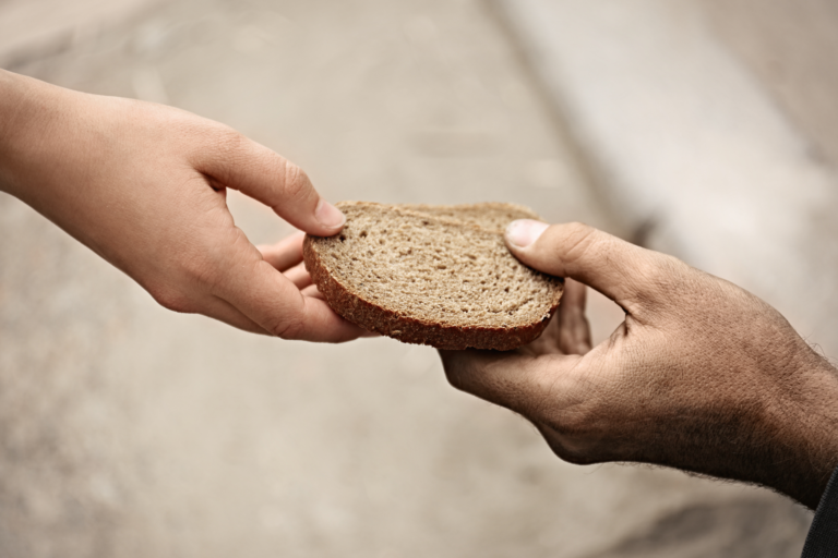 World Food Day 2026: Innovate today. Nourish tomorrow.